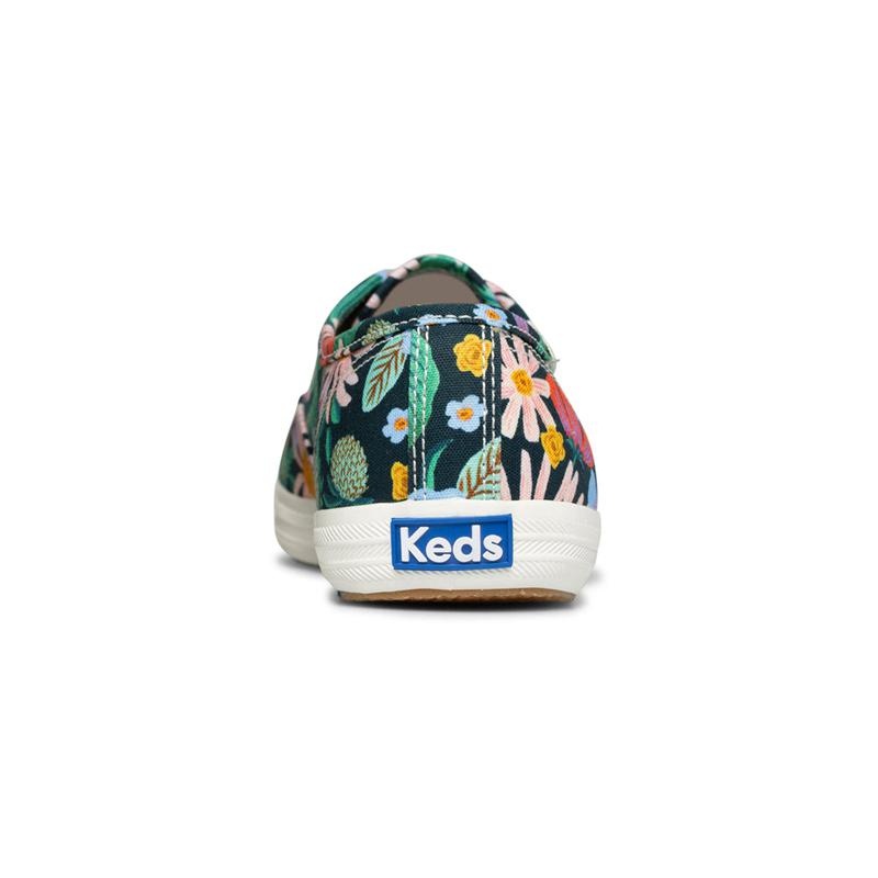 Keds Champion Rifle Paper Co Dovecoat Naisten Canvas Navy/Multicolor | EZCB20175